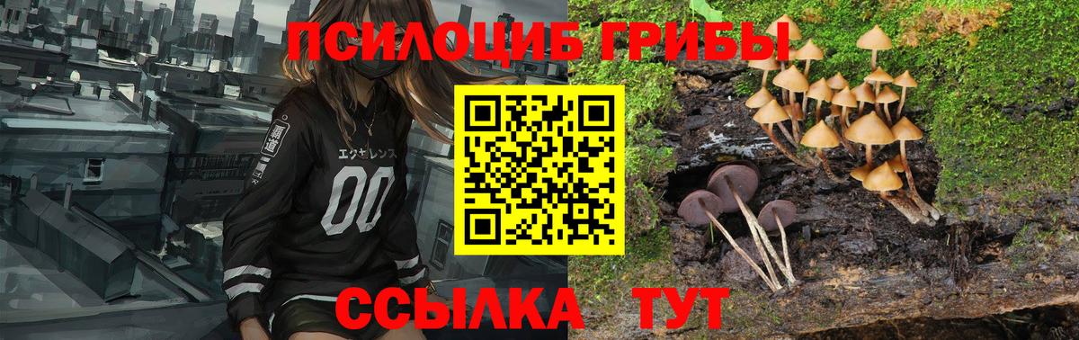 Псилоцибиновые грибы MAGIC MUSHROOMS  Галлюциногенные грибы Cubensis  Вход с VPN  Ртищево 