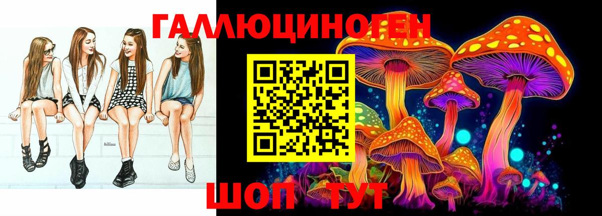Псилоцибиновые грибы Psilocybine cubensis Ртищево