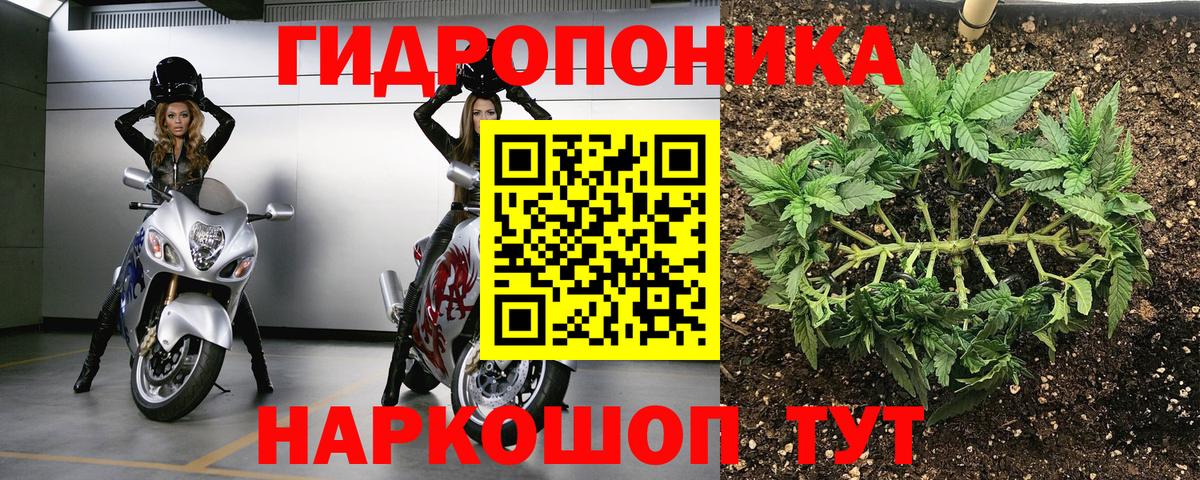 Бошки Шишки тримм  Вход с VPN  Ртищево  Бошки Шишки THC 21% 